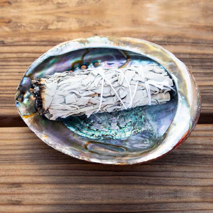 White Sage Smudge Sticks Boxed