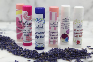 Business Owners Only - Wholesale Lip Balm (Quantity 12)