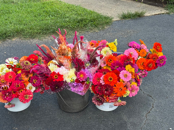 DIY Bucket of Flowers