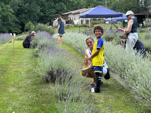 Lavender Festival 2025