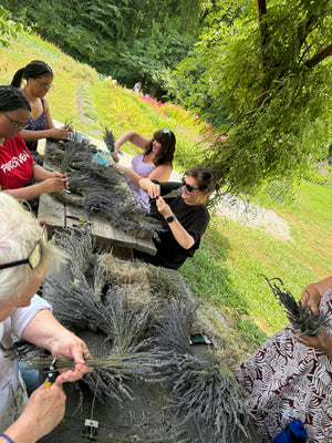 Dried Lavender Wreath Making Workshop