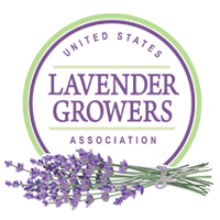 United States Lavender Growers Association Logo