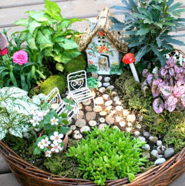 Create a Fairy Garden Class