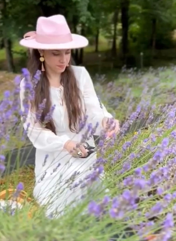 You-Pick Lavender 2026