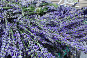 cut lavender laying in cart