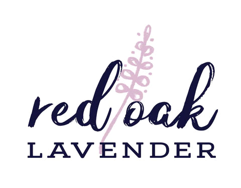 Red Oak Dried Lavender - Red Oak Lavender