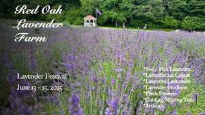 Lavender Festival 2025